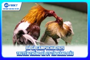 Đá Gà Campuchia 2025 - Truyền Thống Và Uy Tín Hàng Đầu