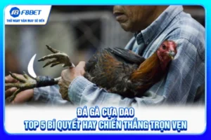 Đá Gà Cựa Dao - Top 5 Bí Quyết Hay Chiến Thắng Trọn Vẹn