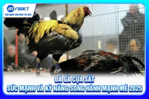 Đá Gà Cựa Sắt - Sức Mạnh Và Kỹ Năng Song Hành Mạnh Mẽ 2025