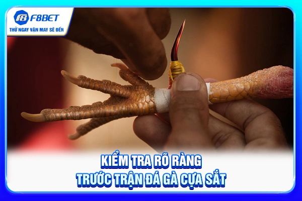 Kiểm tra rõ ràng trước trận đá gà cựa sắt Kiểm tra rõ ràng trước trận đá gà cựa sắt
