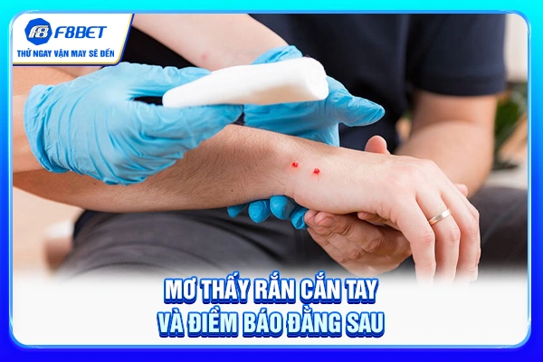 Mơ thấy rắn cắn tay và điềm báo đằng sau