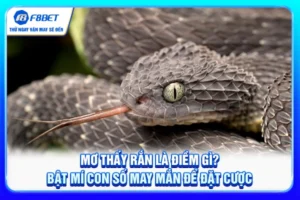 Mơ Thấy Rắn Là Điềm Gì? Bật Mí Con Số May Mắn Để Đặt Cược