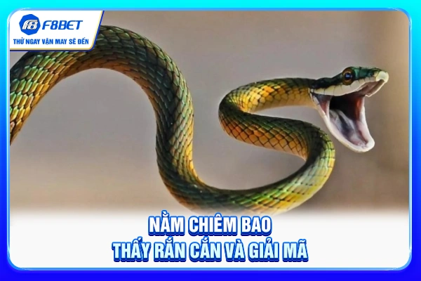 Nằm chiêm bao thấy rắn cắn và giải mã